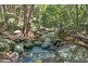 22 Carool Road, Bilambil NSW 2486