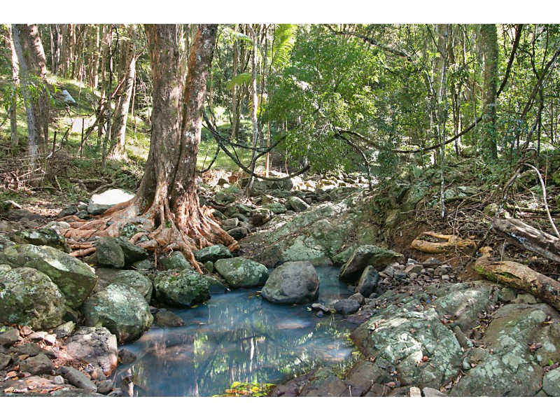 22 Carool Road, Bilambil NSW 2486