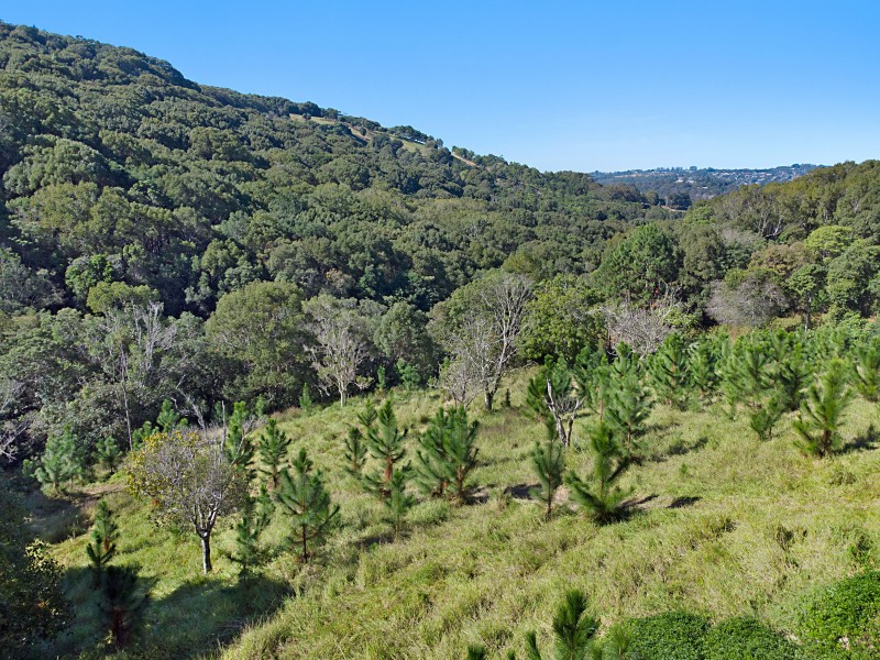 22 Carool Road, Bilambil NSW 2486