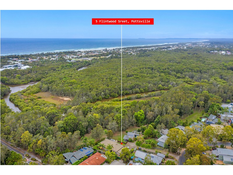 5 Flintwood Street, Pottsville NSW 2489