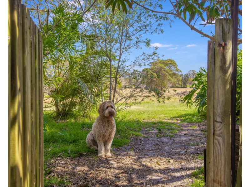 62 Pearl Street, Kingscliff NSW 2487