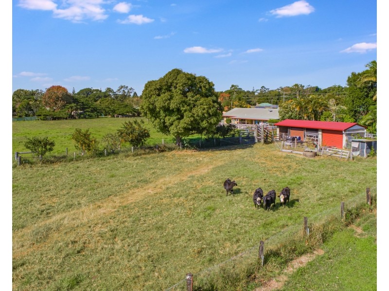 30 Chinbible Avenue, Mullumbimby NSW 2482