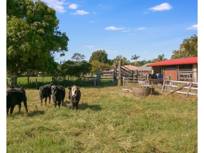 30 Chinbible Avenue, Mullumbimby NSW 2482