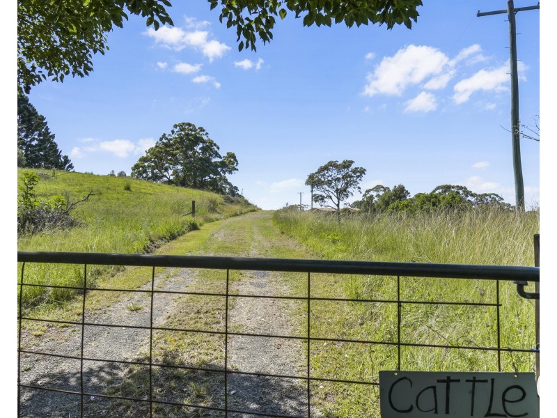 174 Kanes Road, Round Mountain NSW 2484
