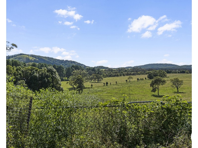 174 Kanes Road, Round Mountain NSW 2484