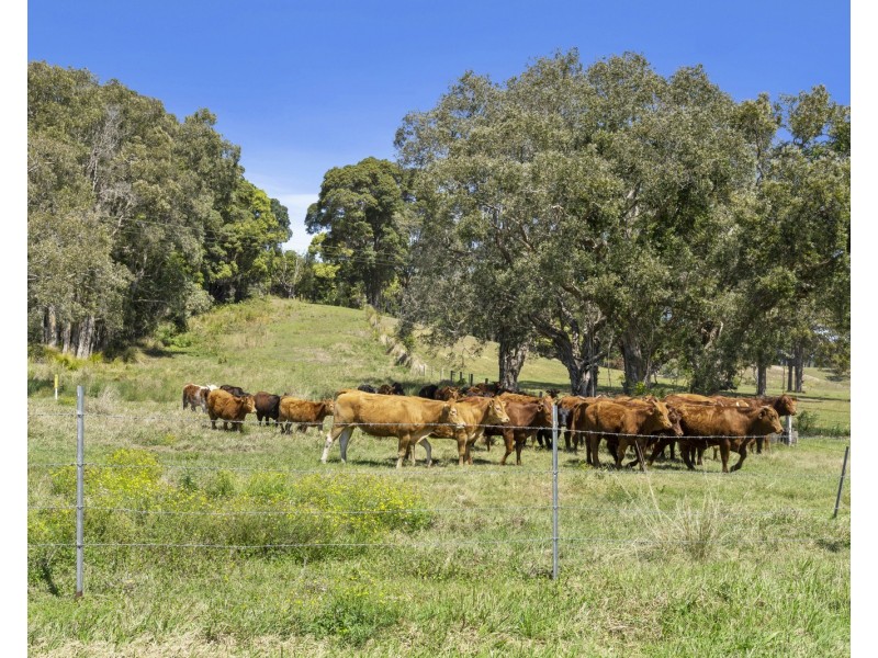 73 Bashforths Lane, Brunswick Heads NSW 2483