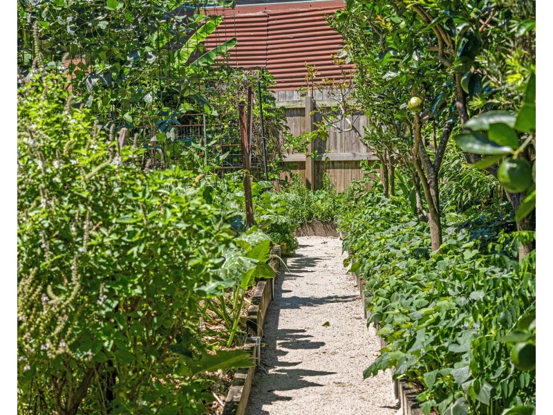 8 Terrace Street, Chinderah NSW 2487