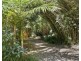 60 Bluegum Court, Crabbes Creek NSW 2483