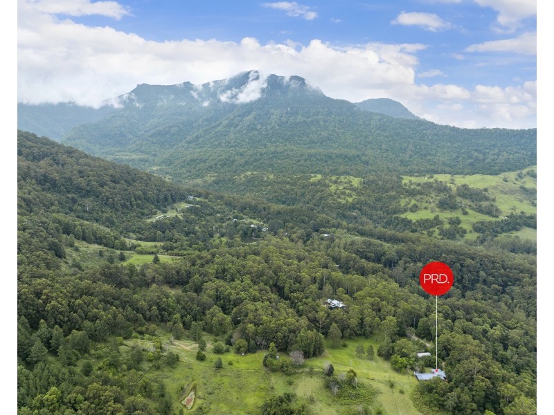 605 Hopkins Creek Road, Hopkins Creek NSW 2484