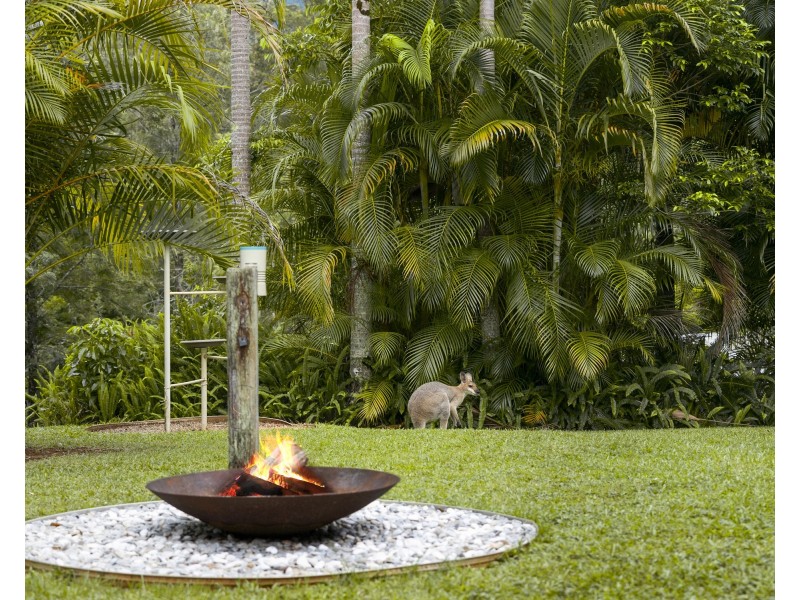 605 Hopkins Creek Road, Hopkins Creek NSW 2484