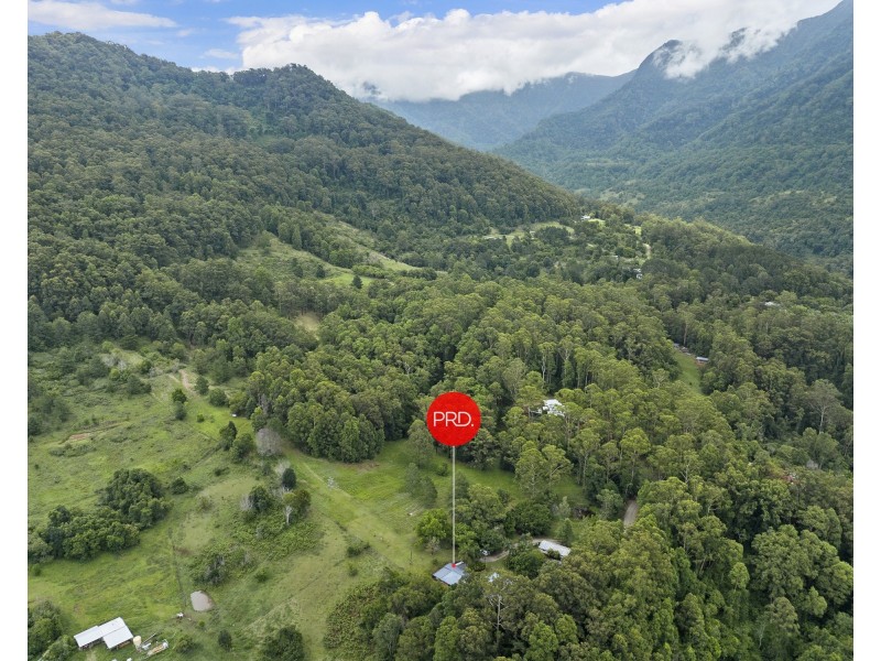 605 Hopkins Creek Road, Hopkins Creek NSW 2484