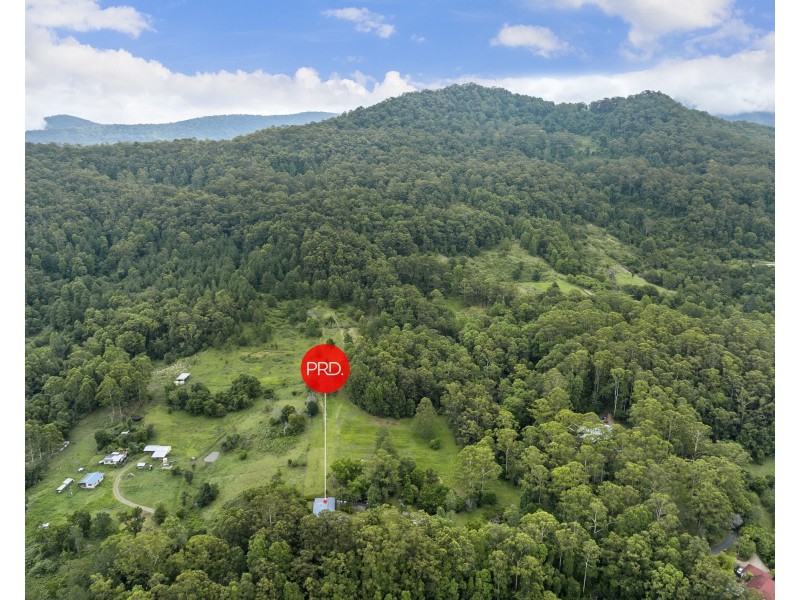 605 Hopkins Creek Road, Hopkins Creek NSW 2484