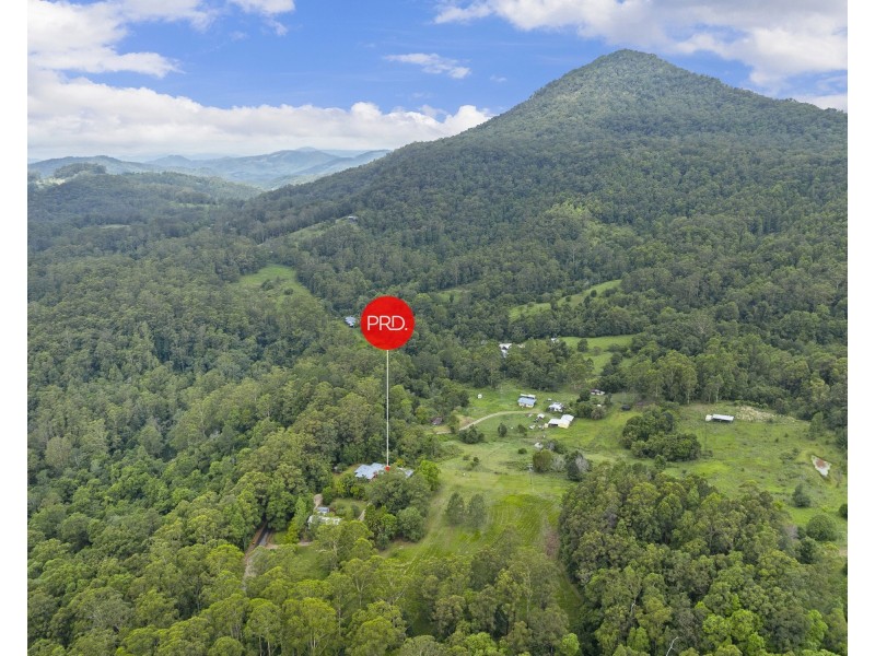 605 Hopkins Creek Road, Hopkins Creek NSW 2484
