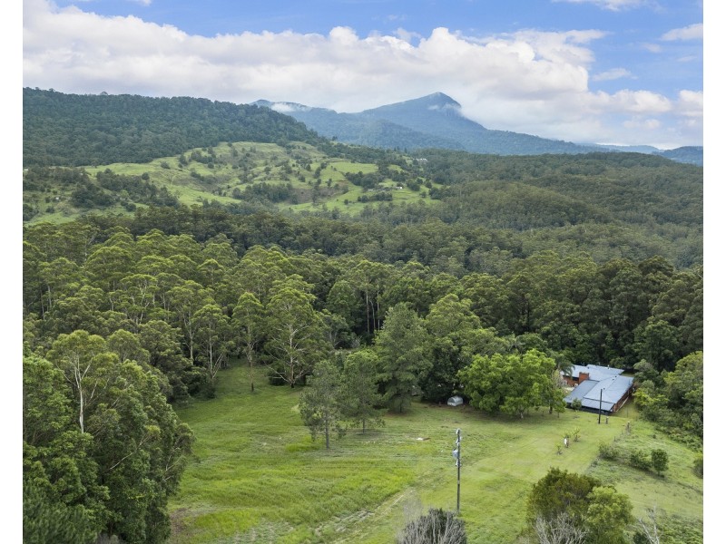 605 Hopkins Creek Road, Hopkins Creek NSW 2484