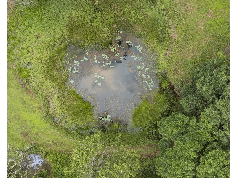 605 Hopkins Creek Road, Hopkins Creek NSW 2484