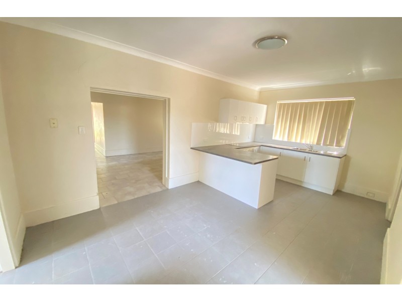 20 Pritchard Street, Auburn NSW 2144