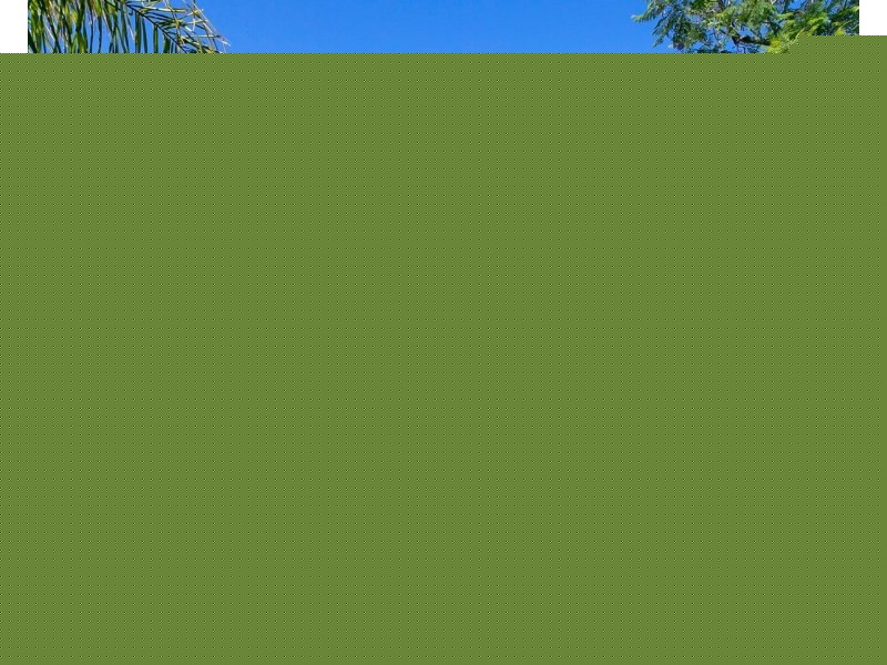 20 Rickard Street, Merrylands NSW 2160