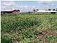 Catherine Field NSW 2557