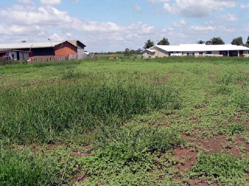 Catherine Field NSW 2557
