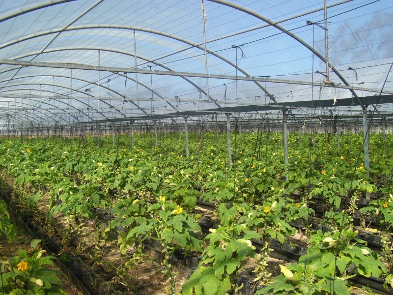 Kemps Creek NSW 2178