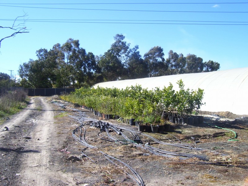 Kemps Creek NSW 2178