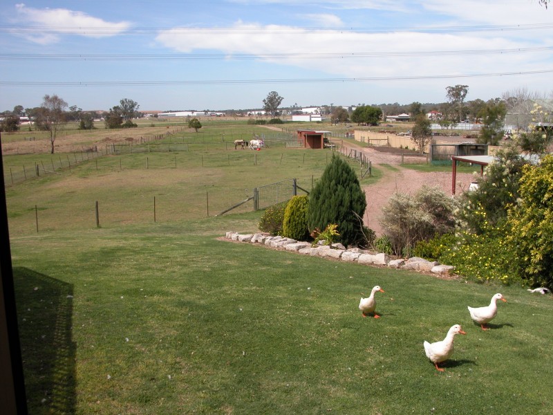 Orchard Hills NSW 2748