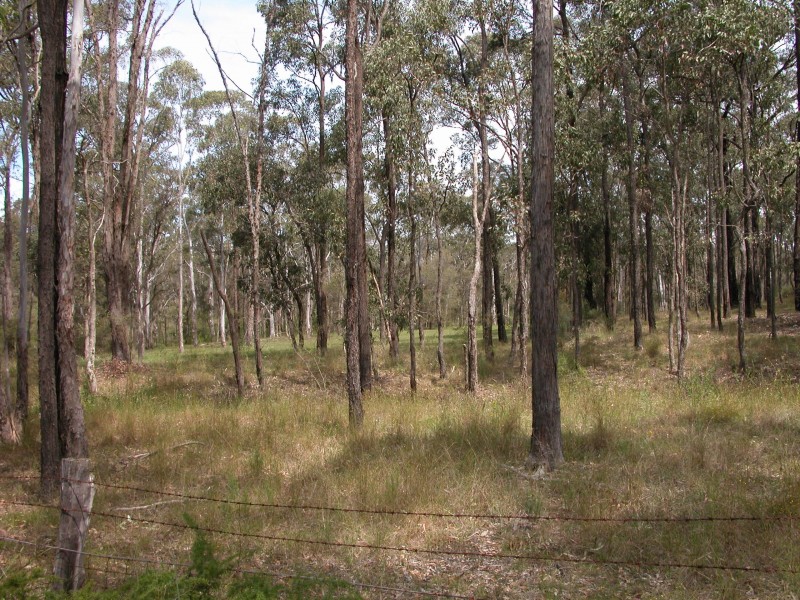 Londonderry NSW 2753