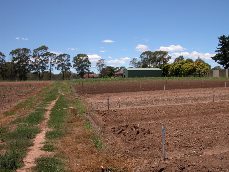 Catherine Field NSW 2557