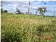 Badgerys Creek NSW 2555