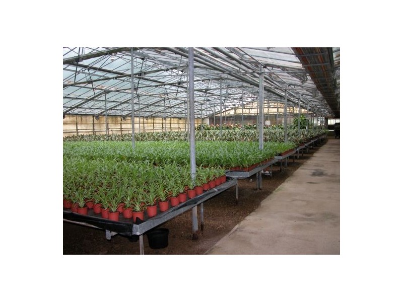 Kemps Creek NSW 2178