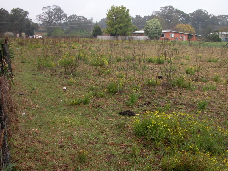 Tahmoor NSW 2573