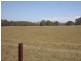 Bringelly NSW 2556