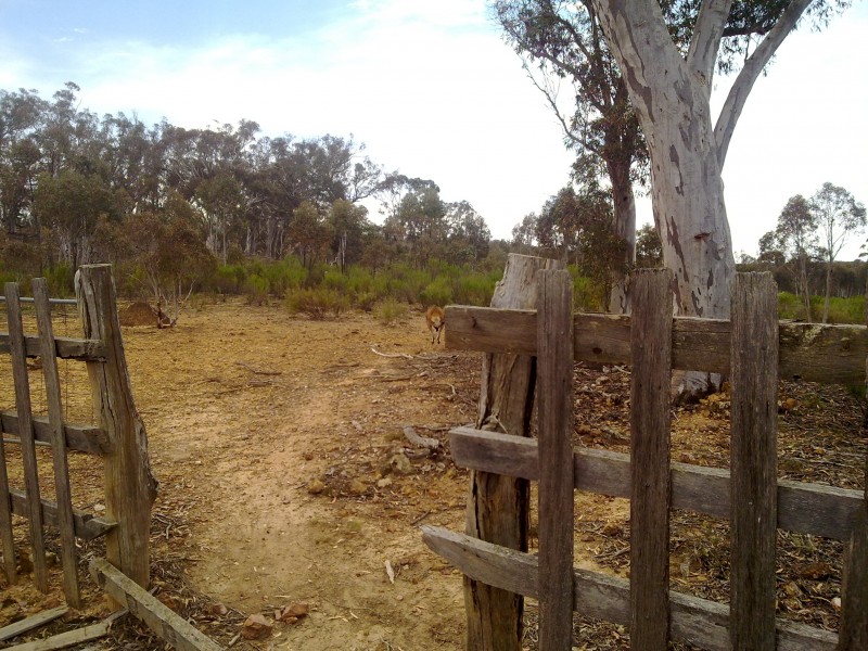 Windellama NSW 2580
