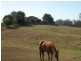 Cobbitty NSW 2570