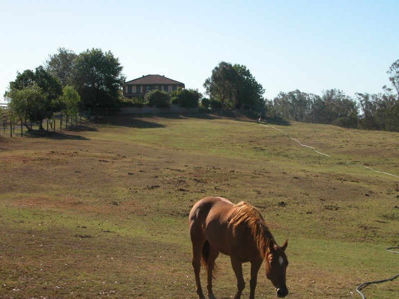 Cobbitty NSW 2570