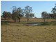 Cobbitty NSW 2570
