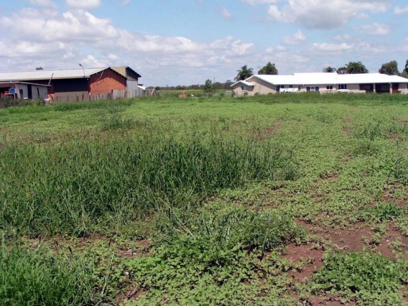 153 Catherine Field Road, Catherine Field NSW 2557