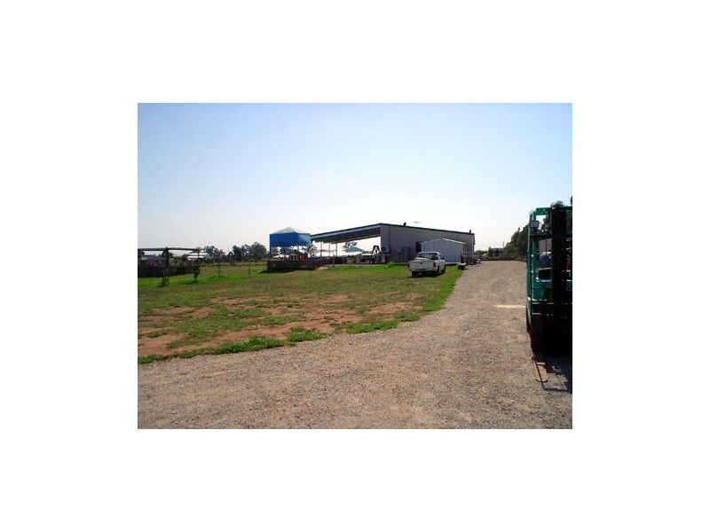 6 Medich Place, Bringelly NSW 2556