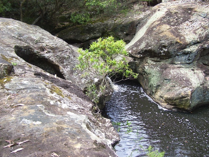 Theresa Park NSW 2570