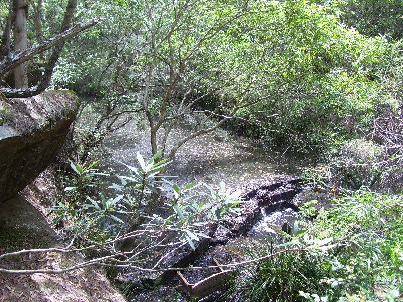 Theresa Park NSW 2570