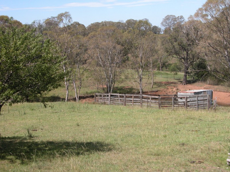 Belimbla Park NSW 2570