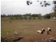 Bringelly NSW 2556