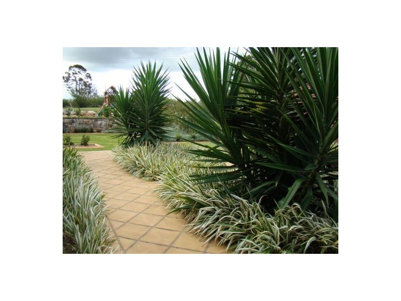 2 William Street, Wallacia NSW 2745