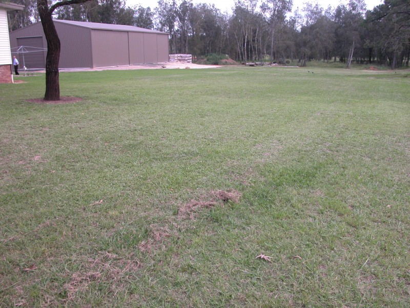 Catherine Field NSW 2557