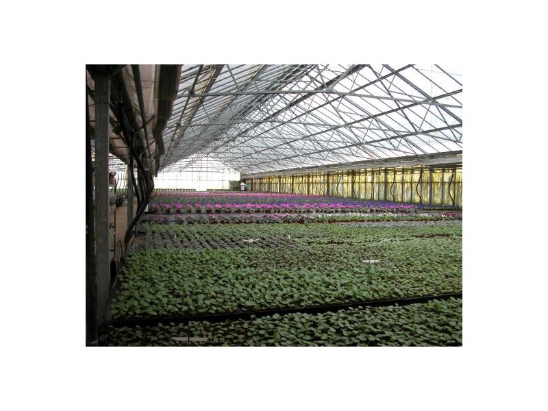 Kemps Creek NSW 2178