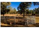 Cawdor NSW 2570