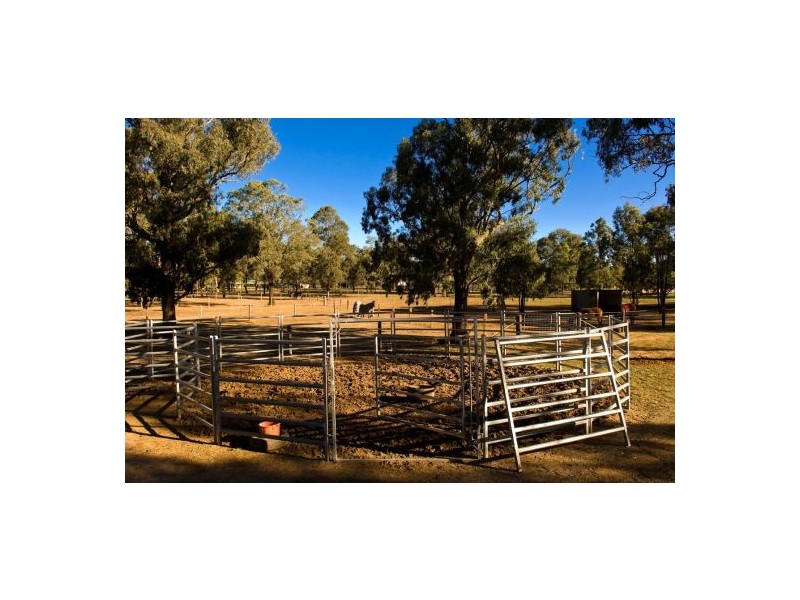 Cawdor NSW 2570