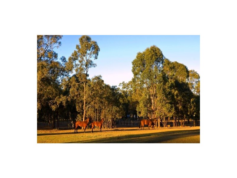 Cawdor NSW 2570
