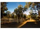 Cawdor NSW 2570