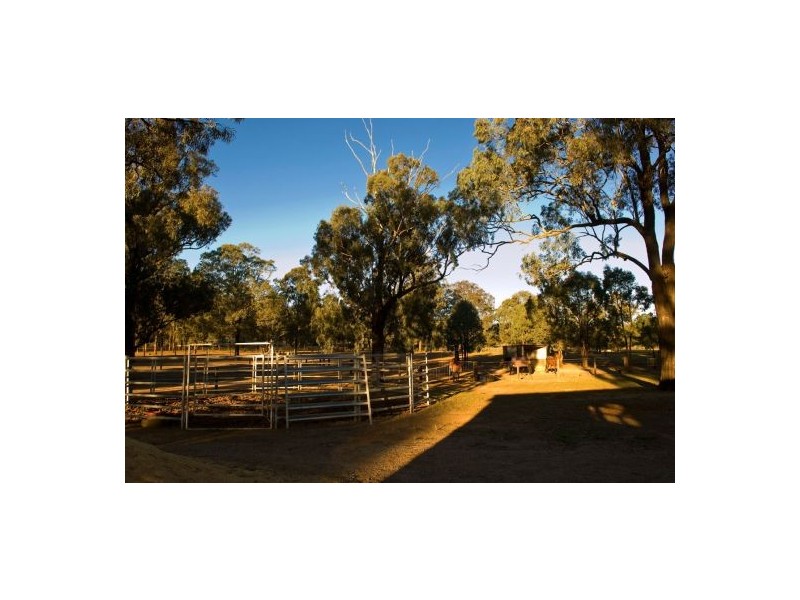 Cawdor NSW 2570